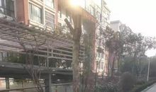 传承爱的心家风永不断