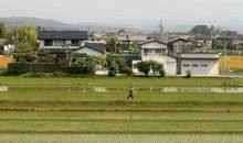 令人向往的乡村生活