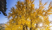 你是我最温暖的旋律