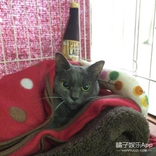 那天我真的很生气