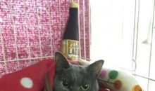 那一天我真的很愤怒