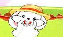 难忘的第一次养小白兔