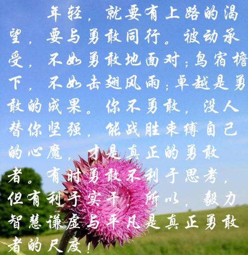 我打败了自己