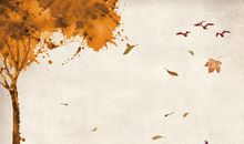 又逢秋季落叶时