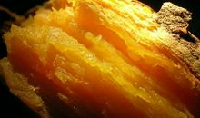 关于红薯的作文