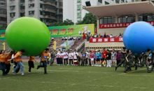 综合活动趣味多