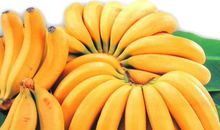 介绍香蕉