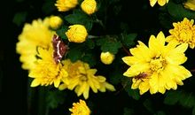 球网晃动的一刻让我怦然心动