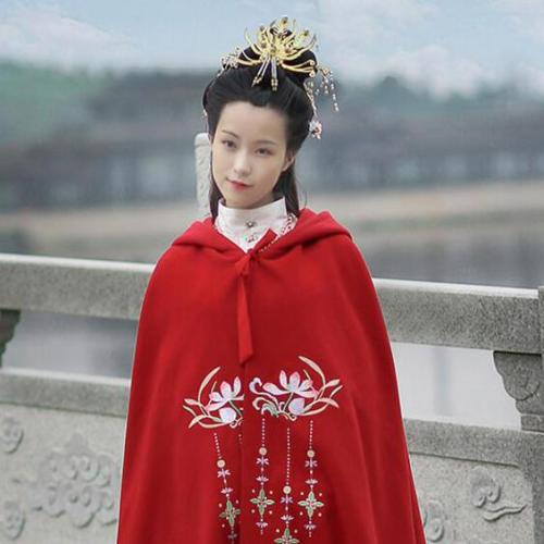 我的女主人公梦