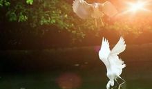 从此我不再只是等待