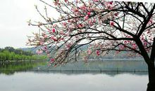 春天里最美丽的风景