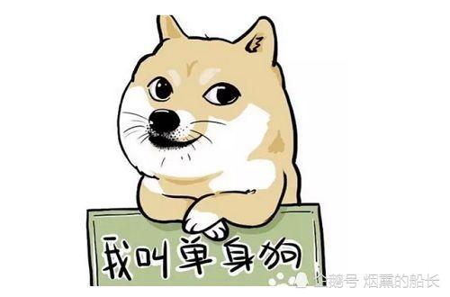 错过的机会