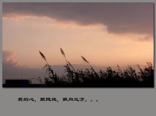 她走进我的心