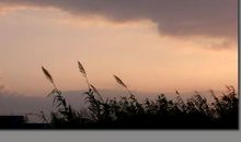 她走进我的心田