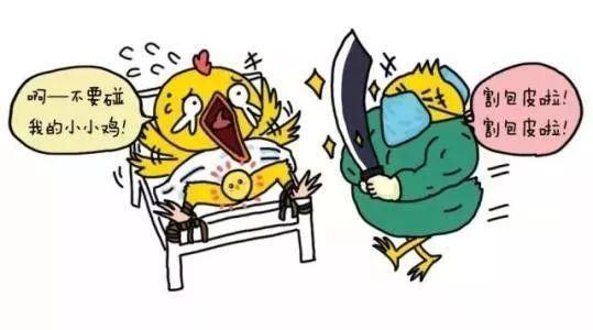 看了《善与恶是什么》后的感想