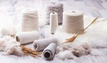 舍不得唤醒的温暖