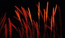 这样的夜静悄悄