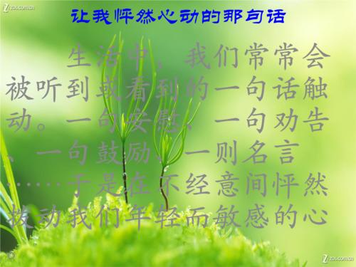 小小的仁慈使我心跳加速