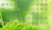 小小的善让我怦然心动