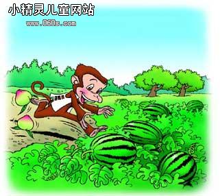 小猴子找妈妈
