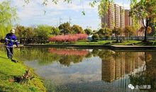 我爱这里的四季