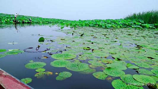 东平湖
