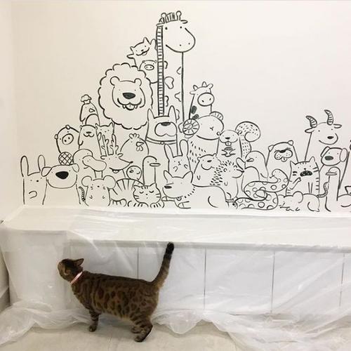 在墙上画