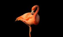 心中，那一缕孤寂