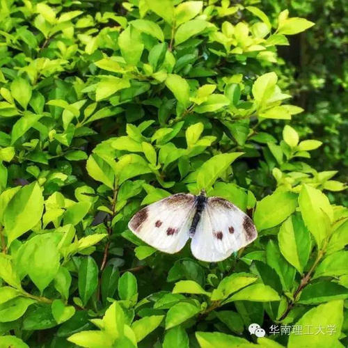 阳台上的轻微触摸