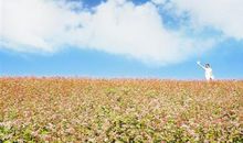 那一段愉悦的日子里