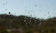 又到雨水滴落时