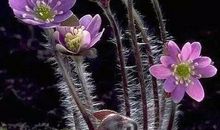 人生中的酸甜苦辣