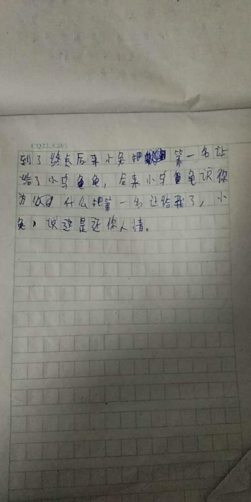 乌龟和野兔继续写400个字