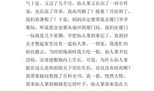 观察螃蟹的作文400字