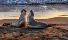 浓浓父爱亦暖心