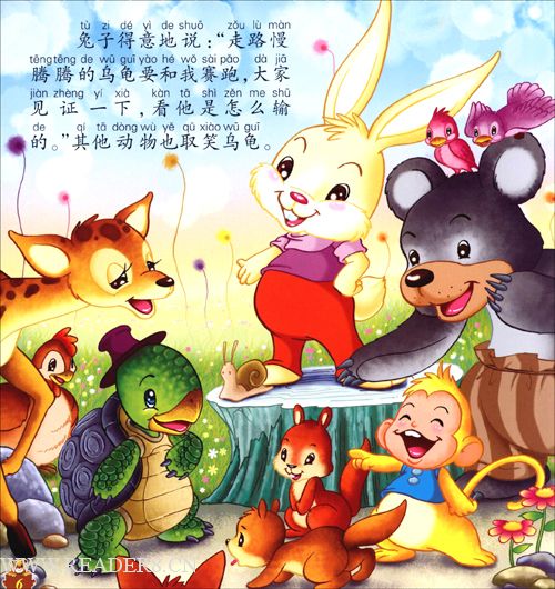 乌龟比赛