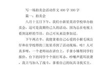 小学生拍卖会作文