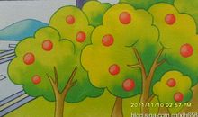 大树给人类的一封信