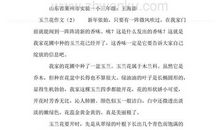 描写白玉兰的作文