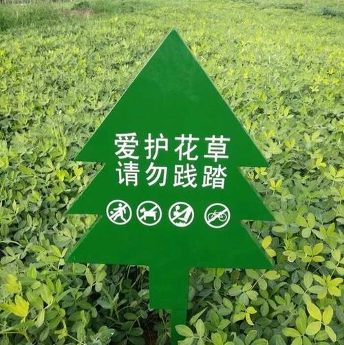 保护草