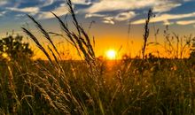 在遗憾中我渴望长大