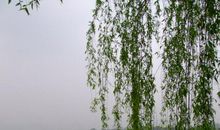 寒假之行——西湖