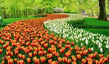 家乡的美丽公园