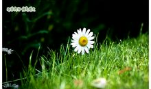 敞开心扉便是晴天