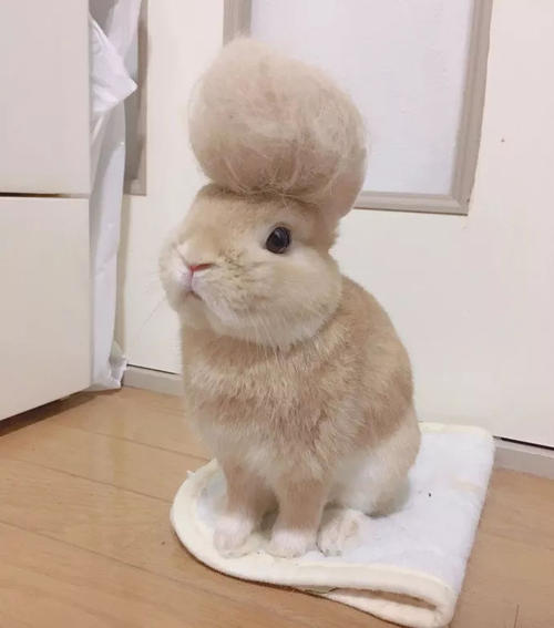 步行字典