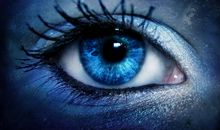 我用我的眼睛看美德