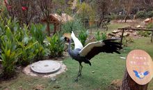 参观黔灵山动物园