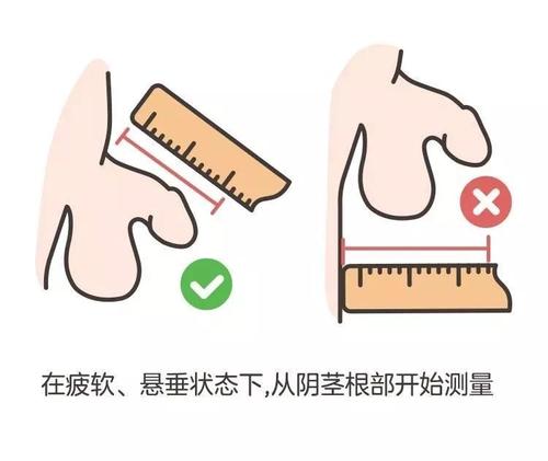 鸡吃鹅卵石的秘密