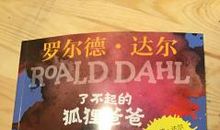 机智的狐狸爸爸