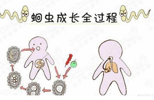 卡通文章